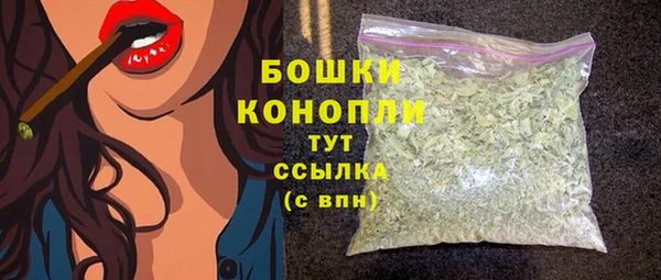 молекула духа Заводоуковск